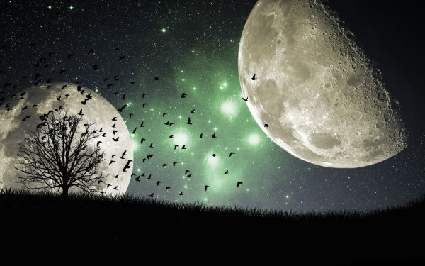 Lunar dream calendar for September 2024, 1 – 14