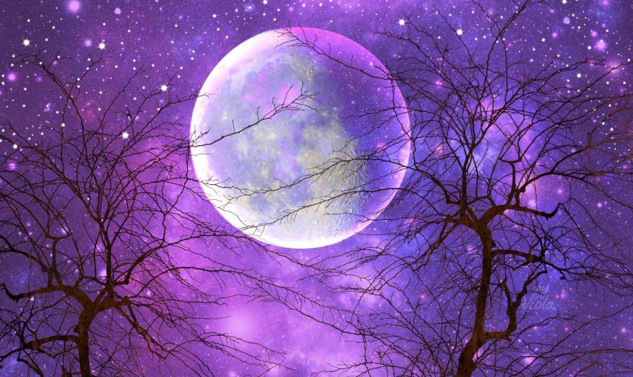 Lunar dream calendar for September 2024, 15 – 30